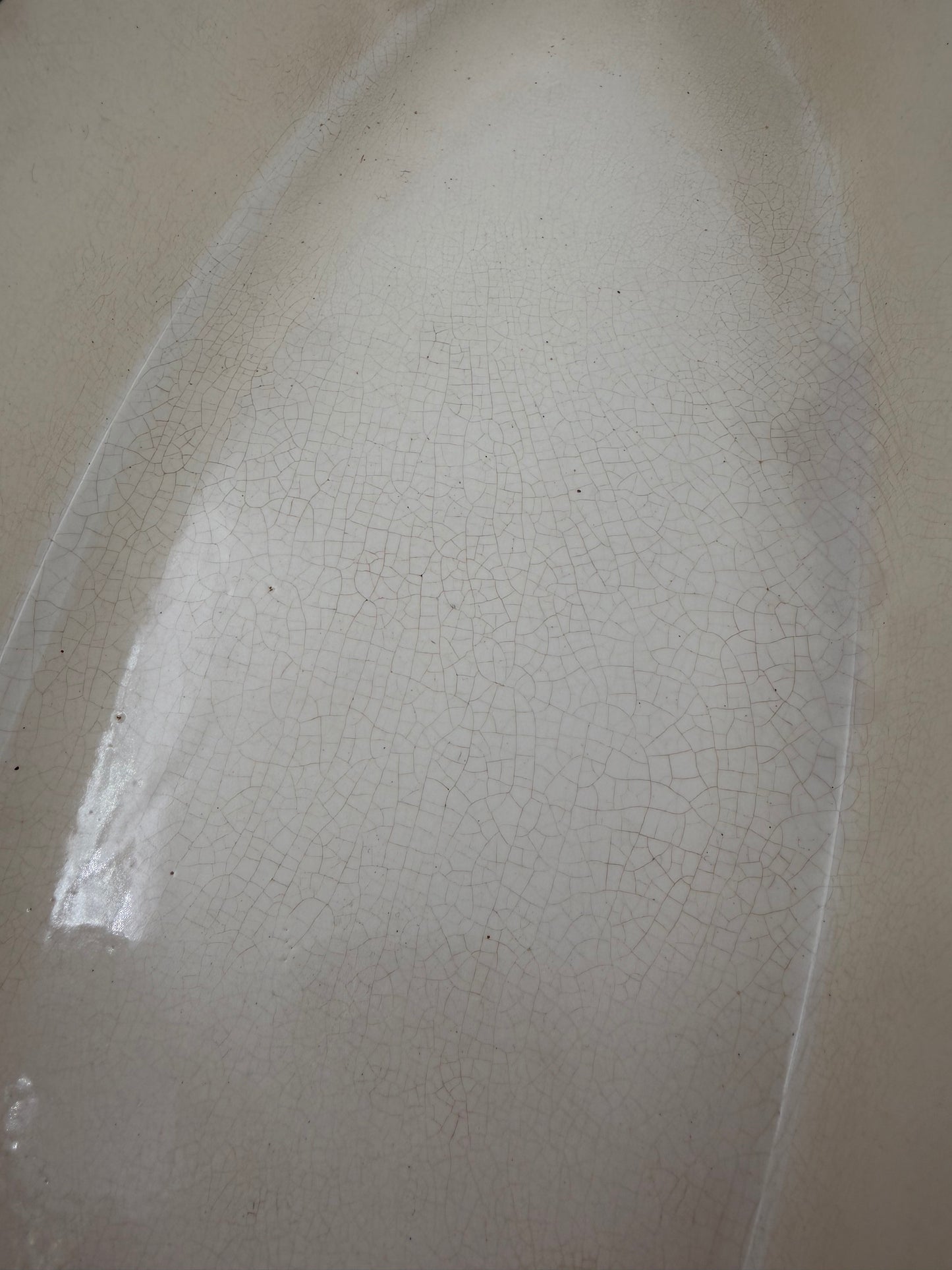 Ceramic Fish Serving Dish