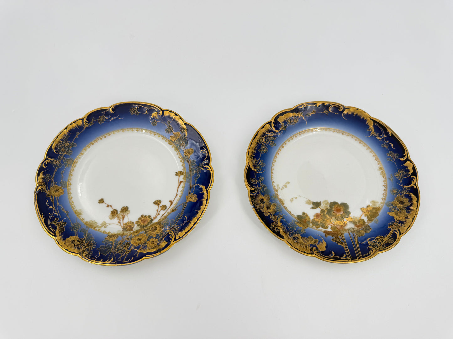 A pair of Belle Époque plates - Haviland