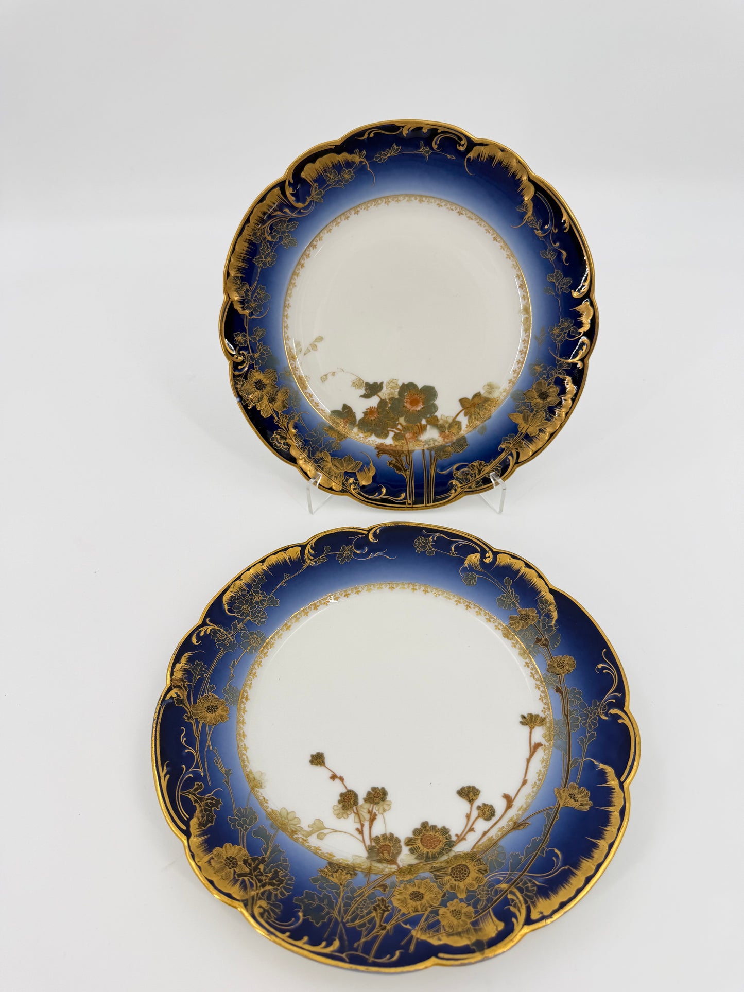A pair of Belle Époque plates - Haviland