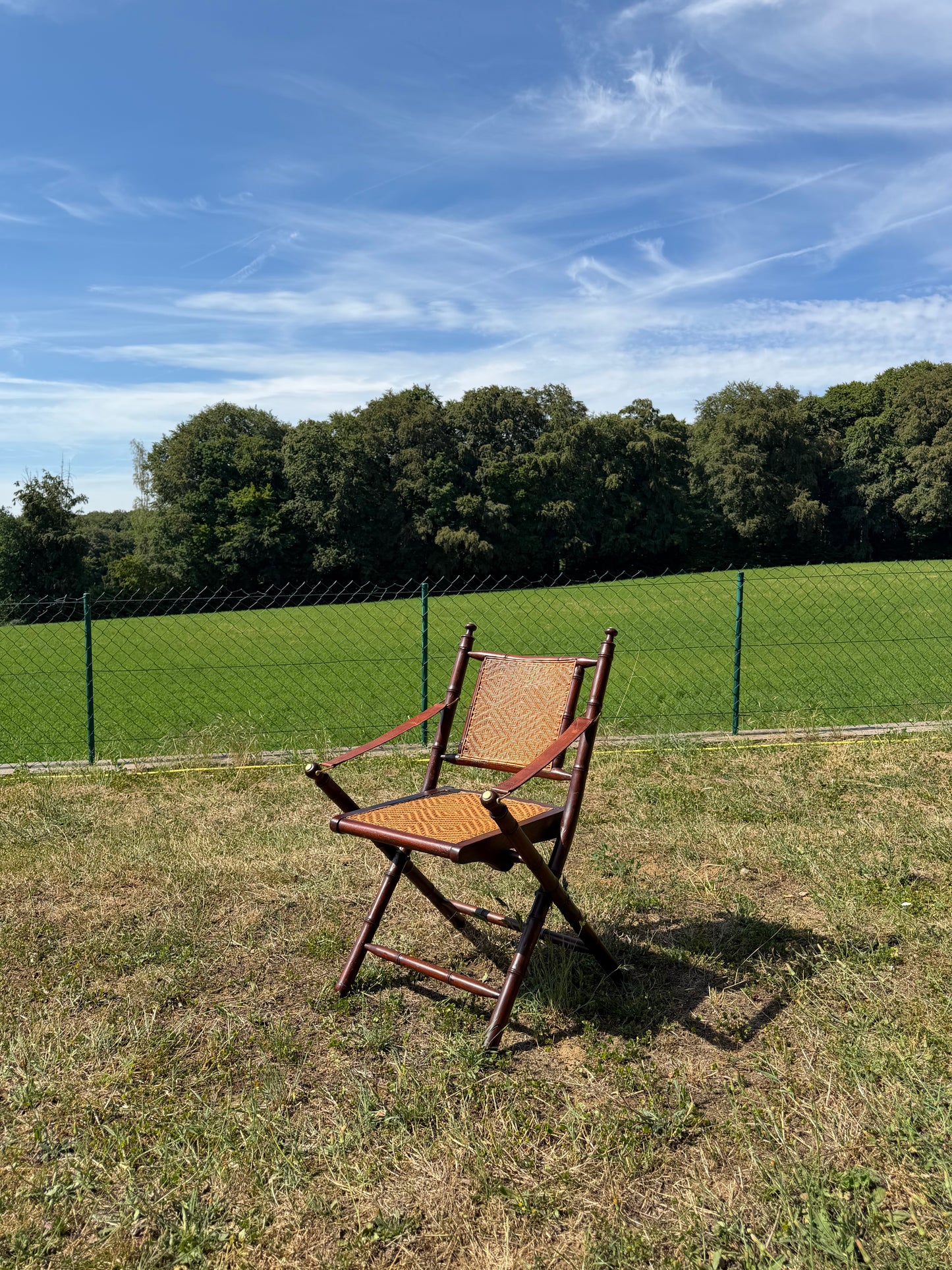 English Campaign Chair